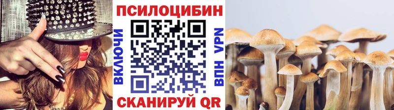 Псилоцибиновые грибы MAGIC MUSHROOMS  купить наркоту  Рузаевка 