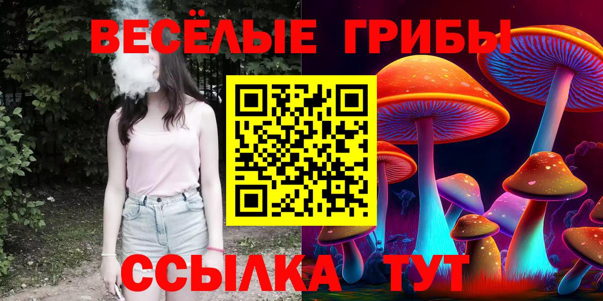 Галлюциногенные грибы GOLDEN TEACHER Рузаевка